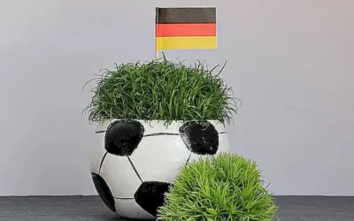 Die bittere EM 2004 in Portugal: Analyse der deutschen Pleite und der Weg zum WM-Triumph 2014 -wm 2004 deutschlandund die Folgen fürdeutschland em 2004