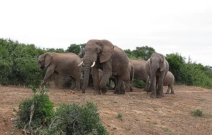 Die geopolitische Bedeutung des Fundes für Afrika