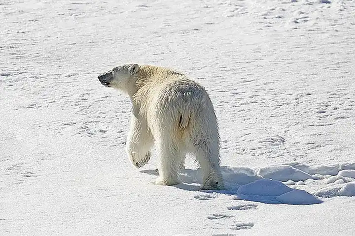 Funktionsweise des Arctic Air