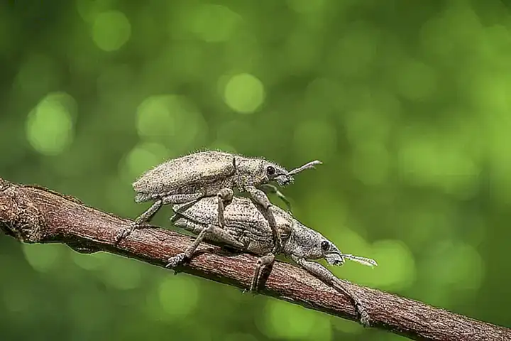 Ursachen für den Fehler 