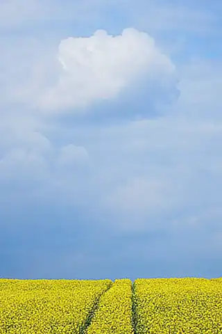 Zukünftige Entwicklungen und Ausblick